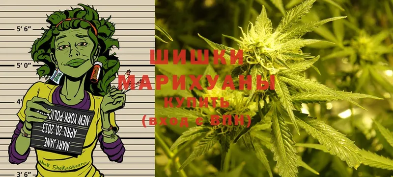 Каннабис White Widow  omg рабочий сайт  Бакал 